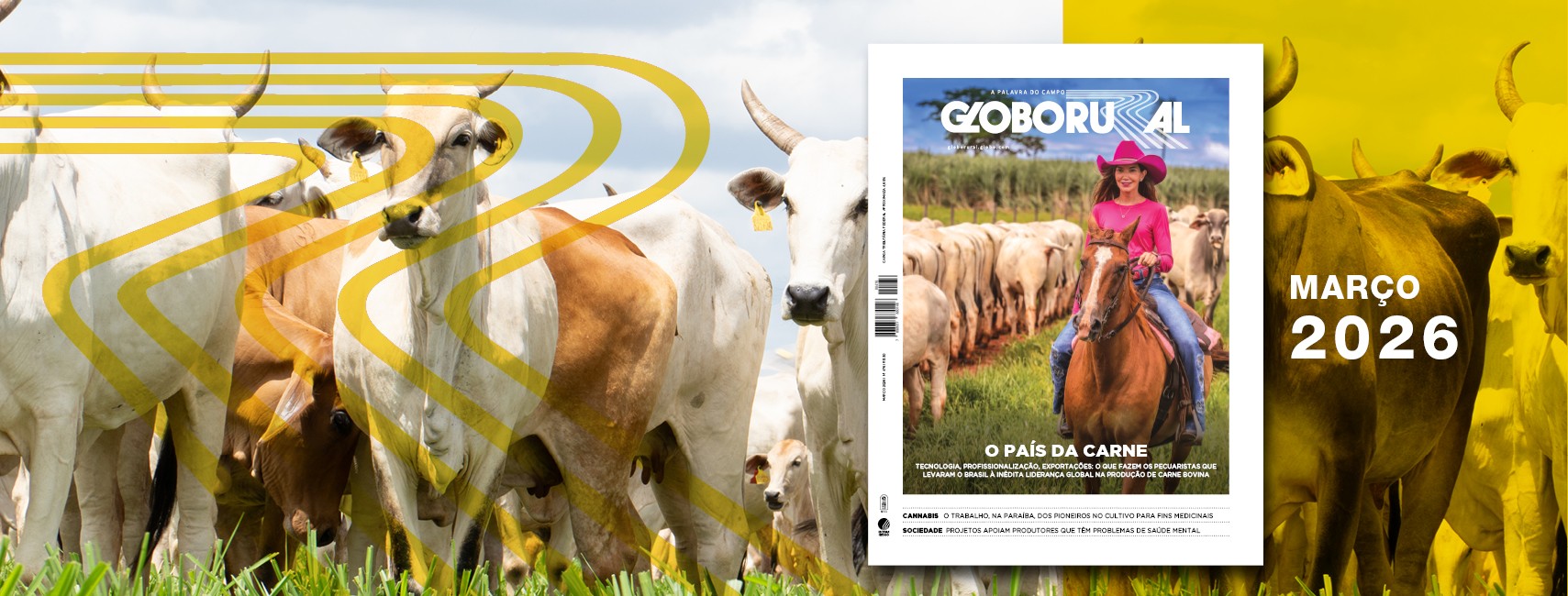 Liderança brasileira: carne bovina é destaque na edição de março da Globo Rural