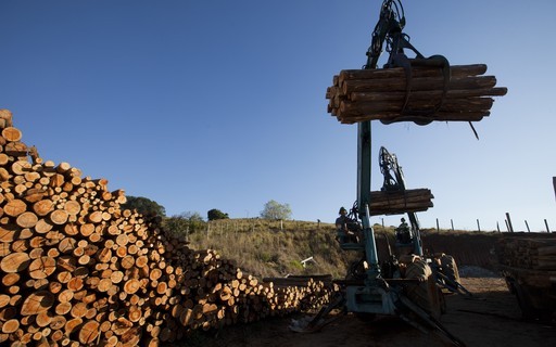Casa Branca volta atrás e retira tarifa de 10% sobre a celulose brasileira