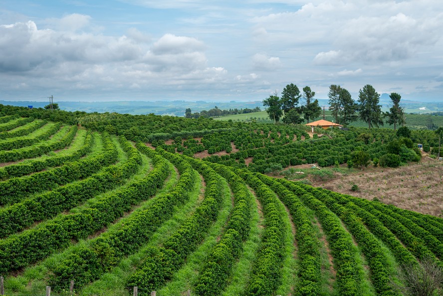 Cursos são realizados pela internet