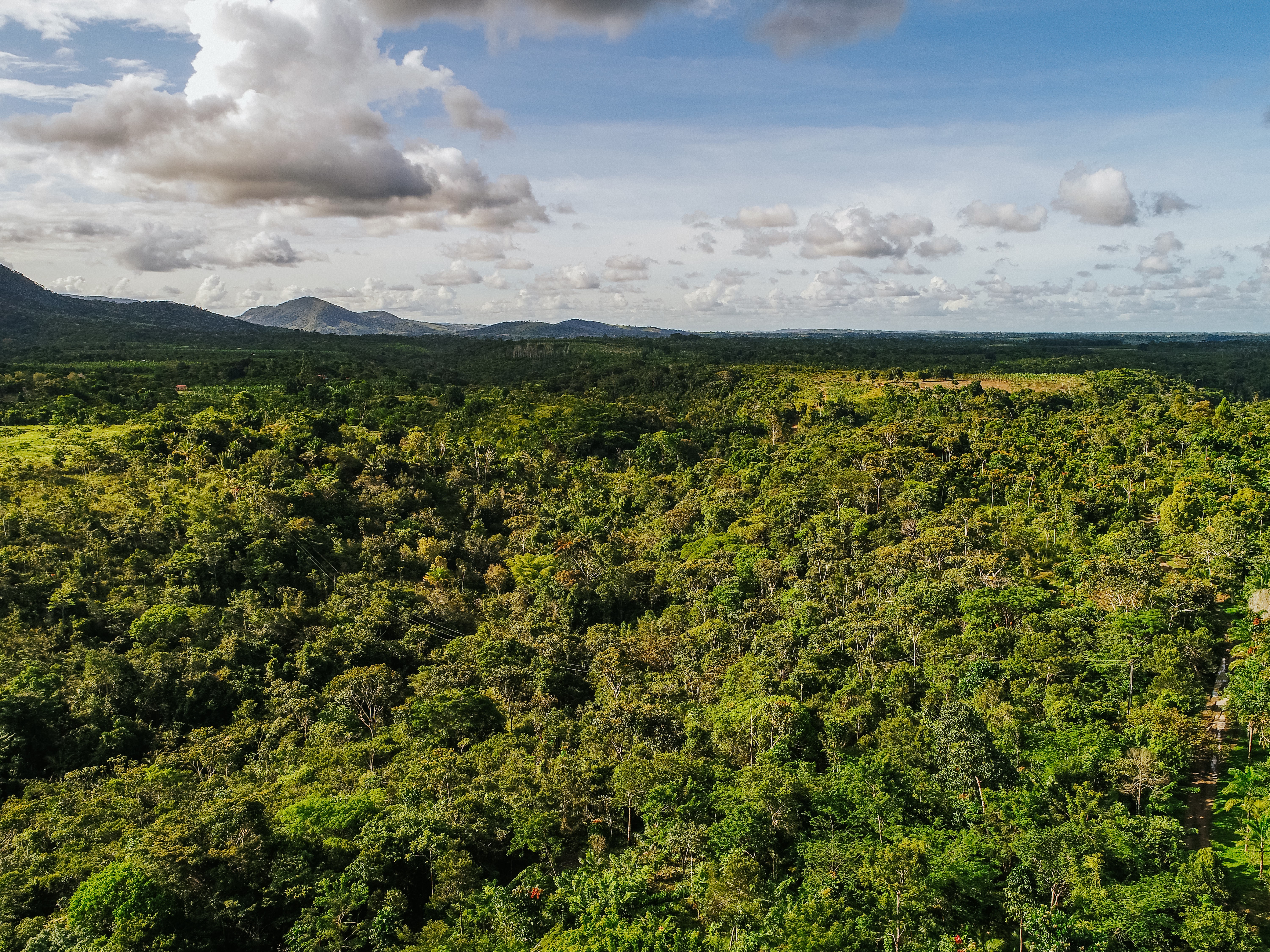 BNDES libera R$ 18 milhões para projeto agroflorestal em Roraima