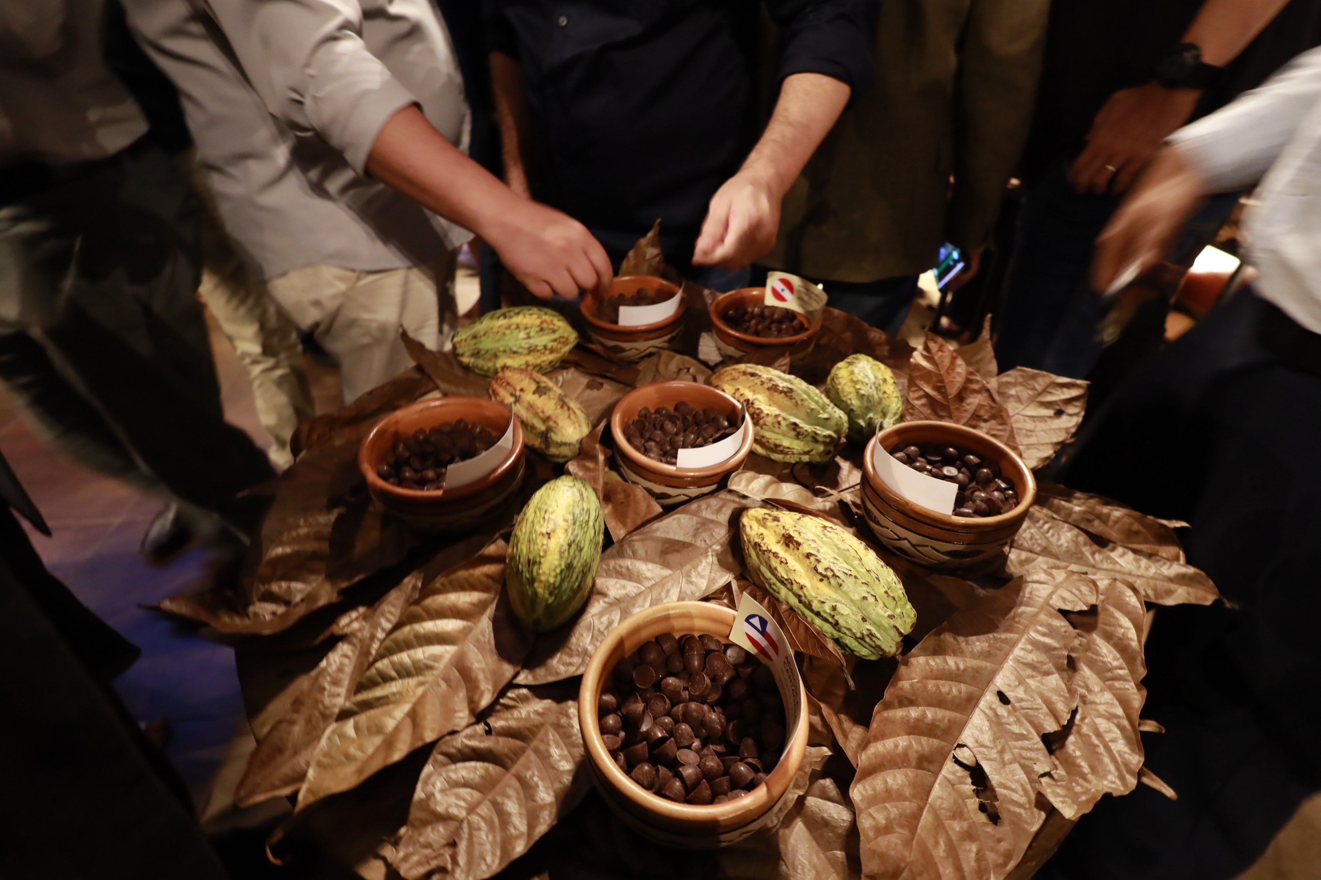 Produtores do Pará e da Bahia vencem concurso nacional de cacau