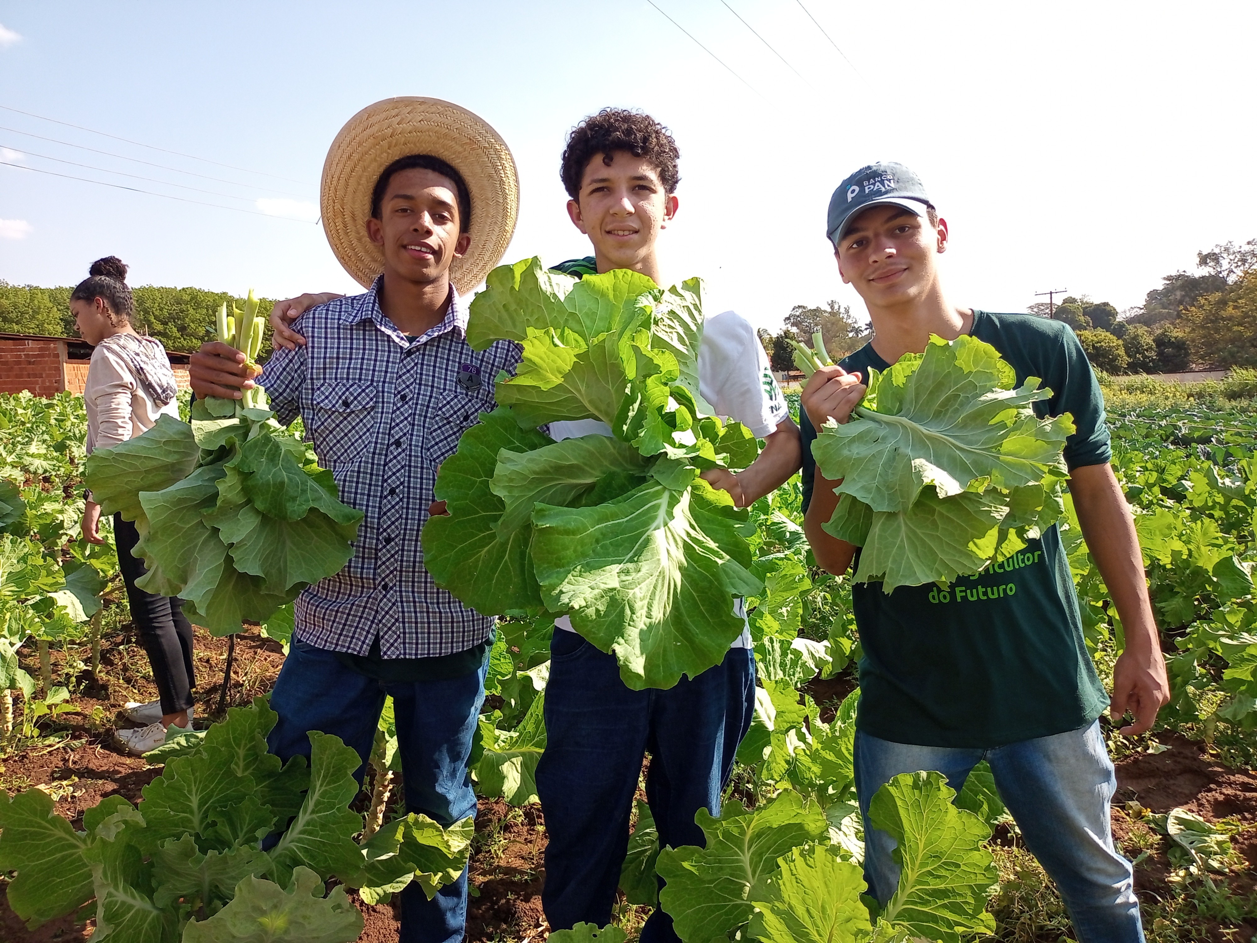 Jovem Agricultor do Futuro abre 
as portas do mercado de trabalho