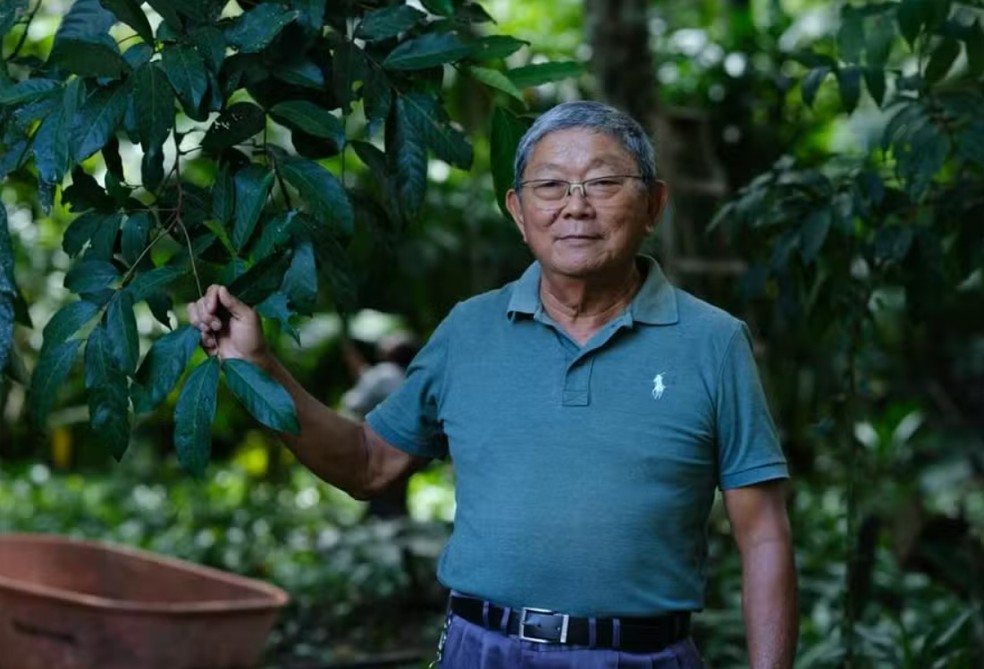 Francisco Sakaguchi, produtor de puxuri em Tomé-Açu (PA) — Foto: Divulgação