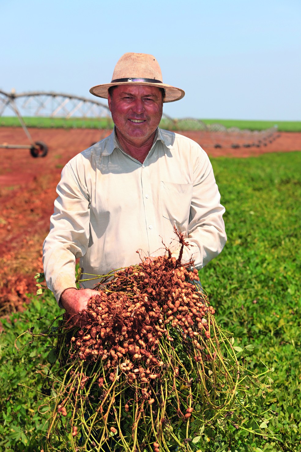 O produtor Antonio Aralli: investimentos na lavoura para colher amendoim de melhor qualidade e poder receber mais pelo produto — Foto: Pierre Duarte