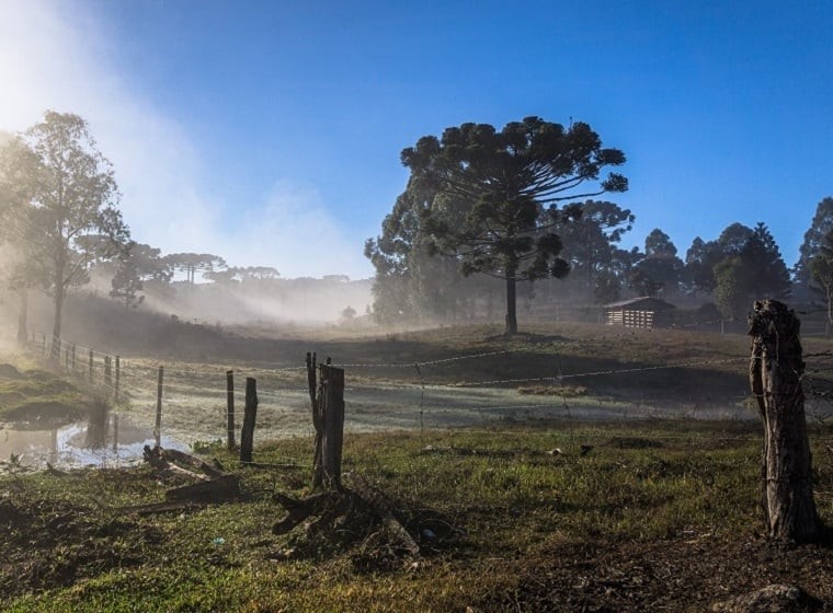 Quarta frente fria começa amanhã e julho abre com risco de geada no Sul