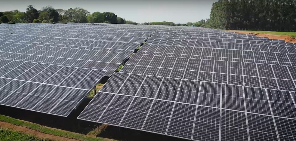 Painéis solares do Sítio Kolibri em Holambra (SP)  — Foto: Divulgação