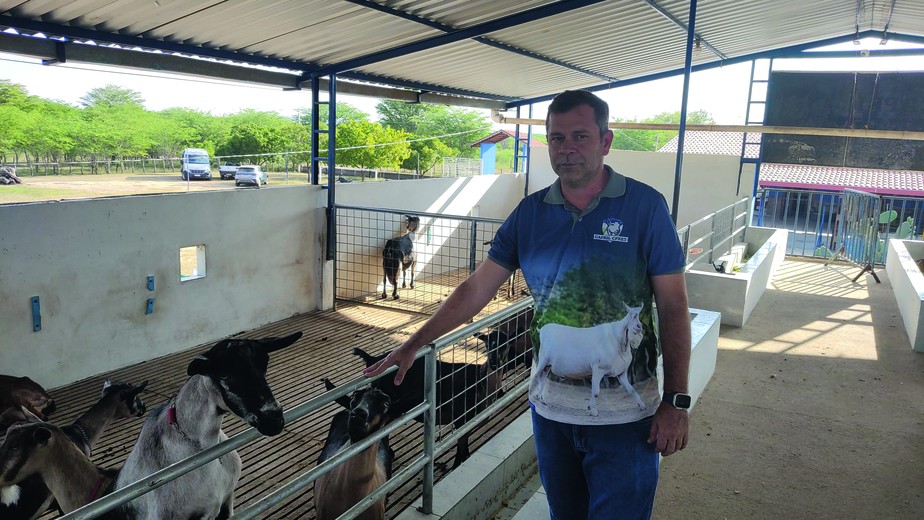 Caprinocultura do Cariri da Paraíba se transforma e gera lucro com leite de cabra