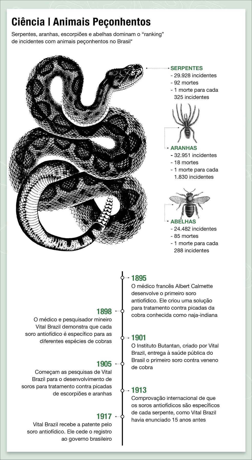 Em 1917, após a comprovação internacional de que os soros antiofídicos são específicos de cada serpente, Vital Brazil cedeu o registro ao governo brasileiro — Foto: Globo Rural