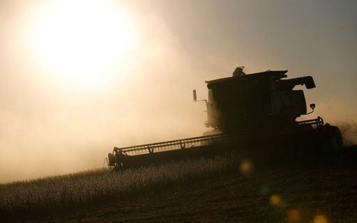 Empresas de alimentos deixam de monitorar riscos do clima para o abastecimento, diz estudo