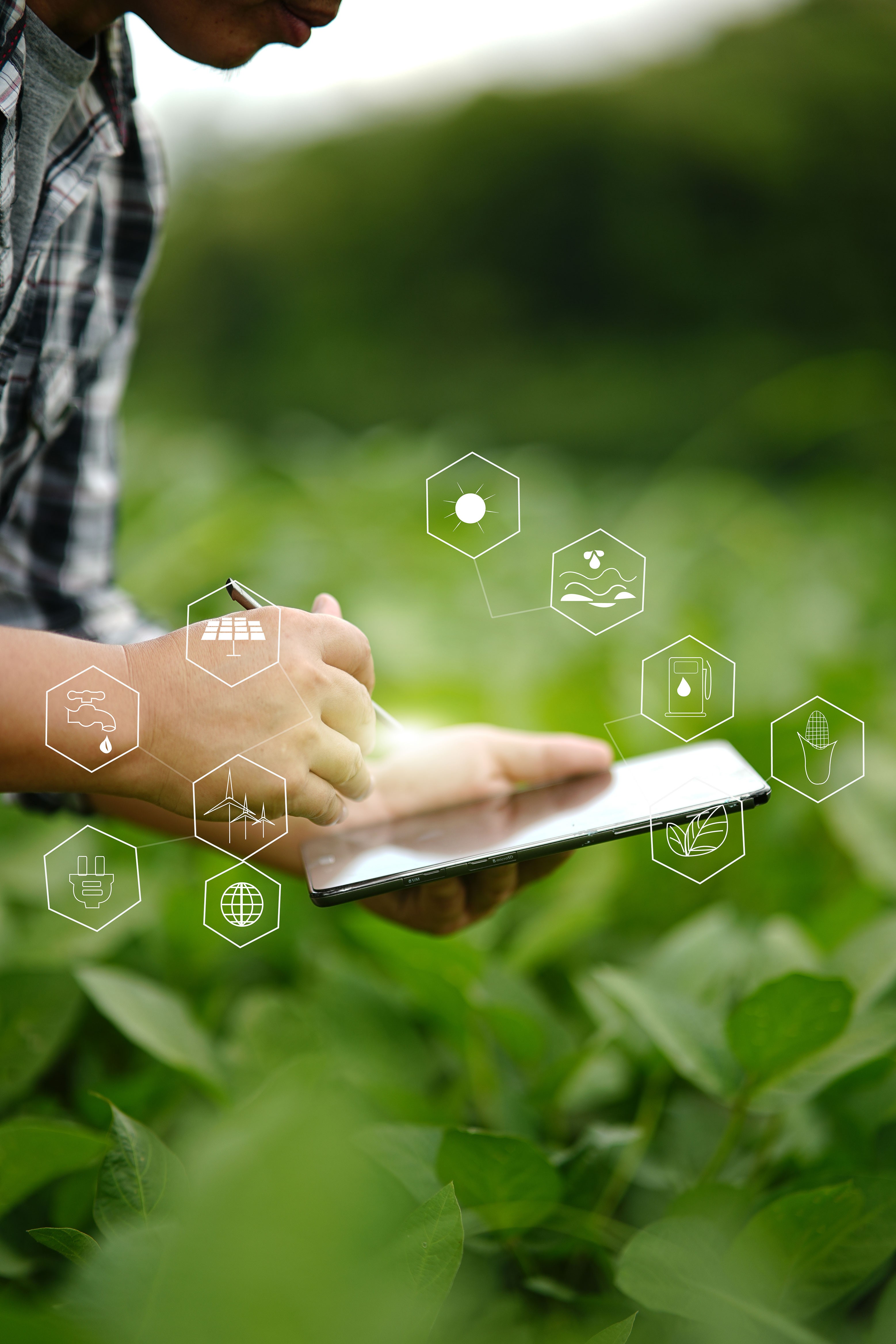 Conectividade impulsiona a gestão das operações agrícolas