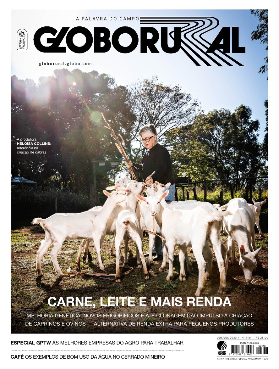 Globo Rural  Coleta de murumuru transforma a vida de agricultores
