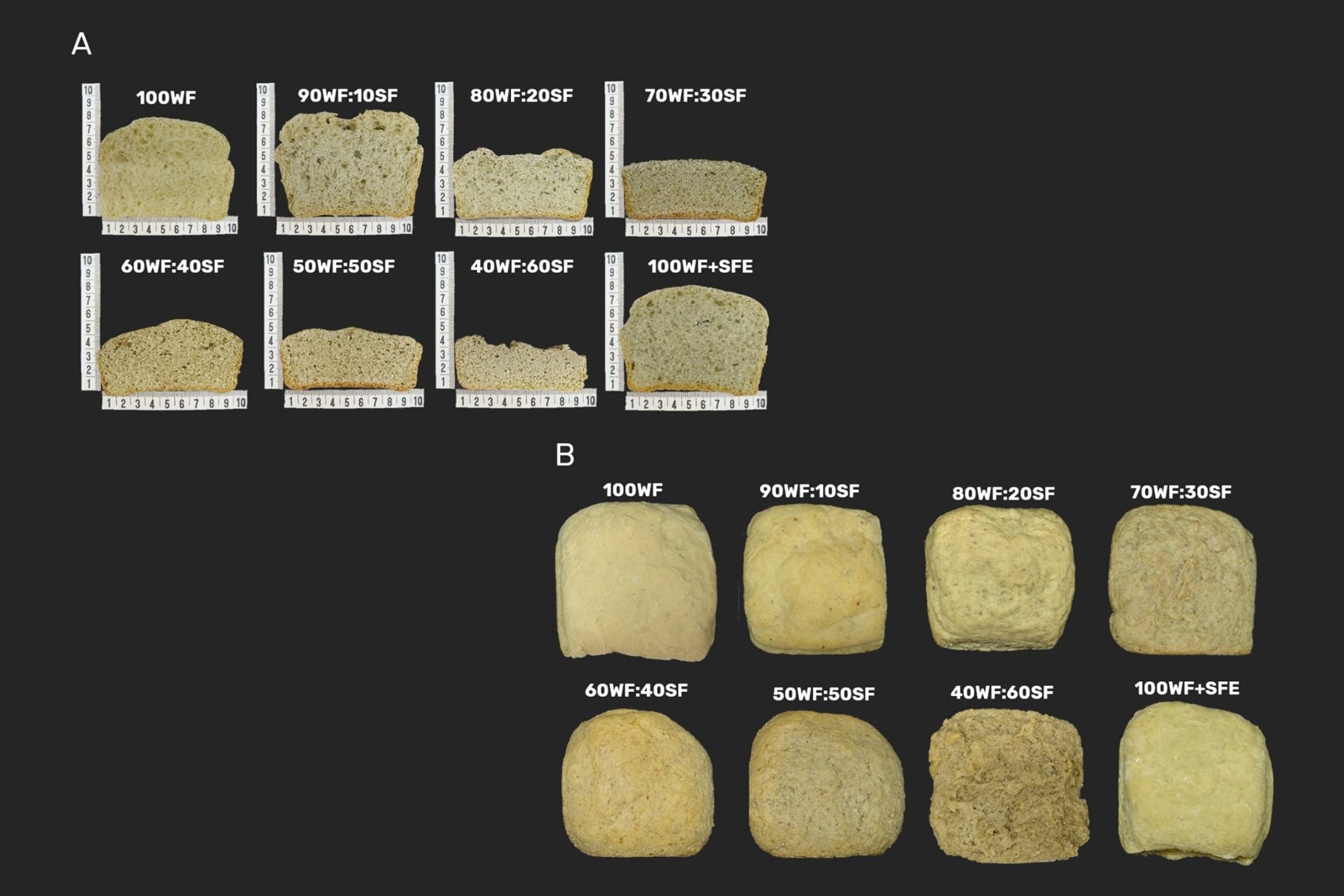Pesquisa indica viabilidade de pão com farinha de sementes de girassol