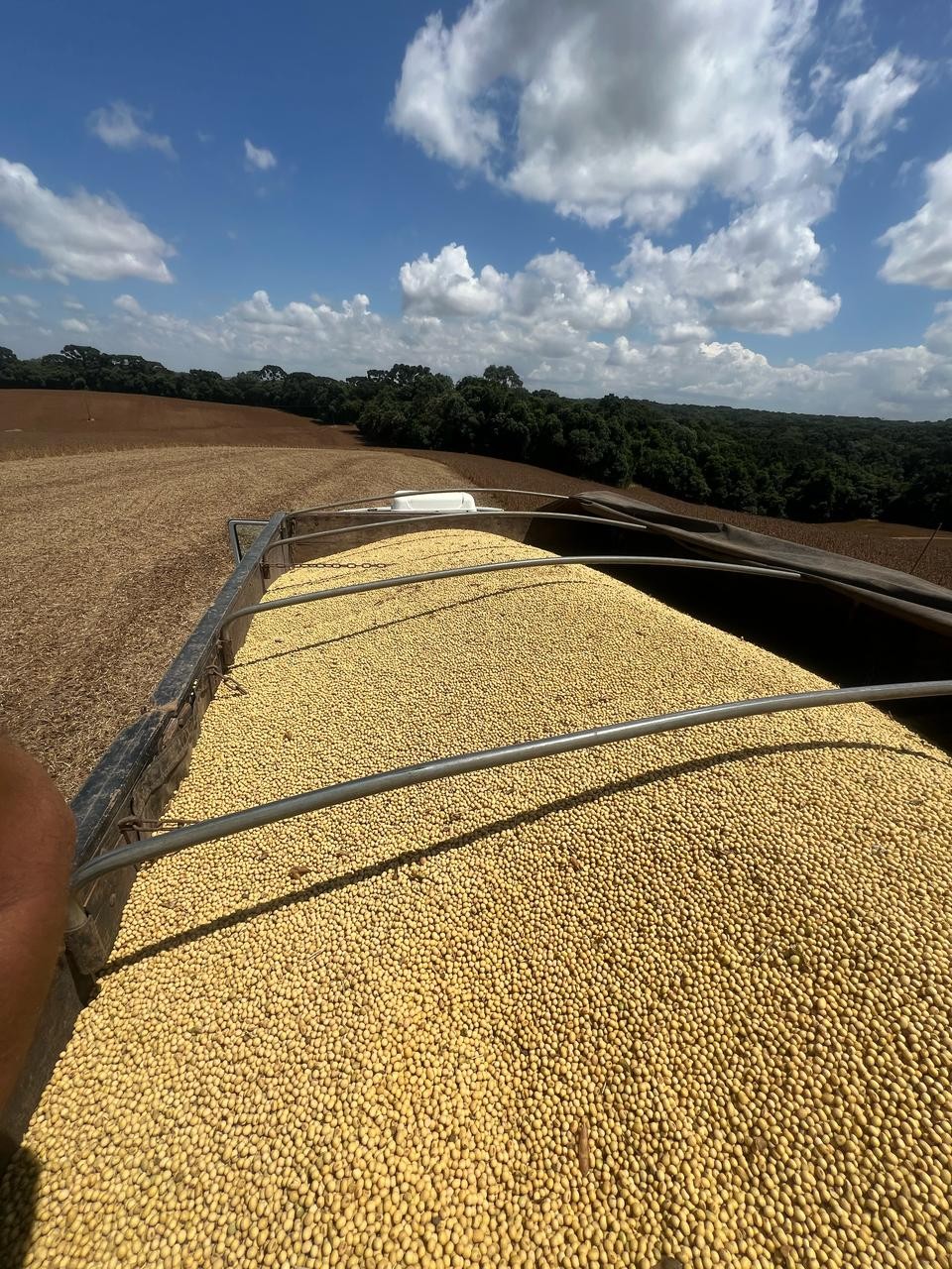 Soja pausa movimento de alta em Chicago e cai após realização de lucros