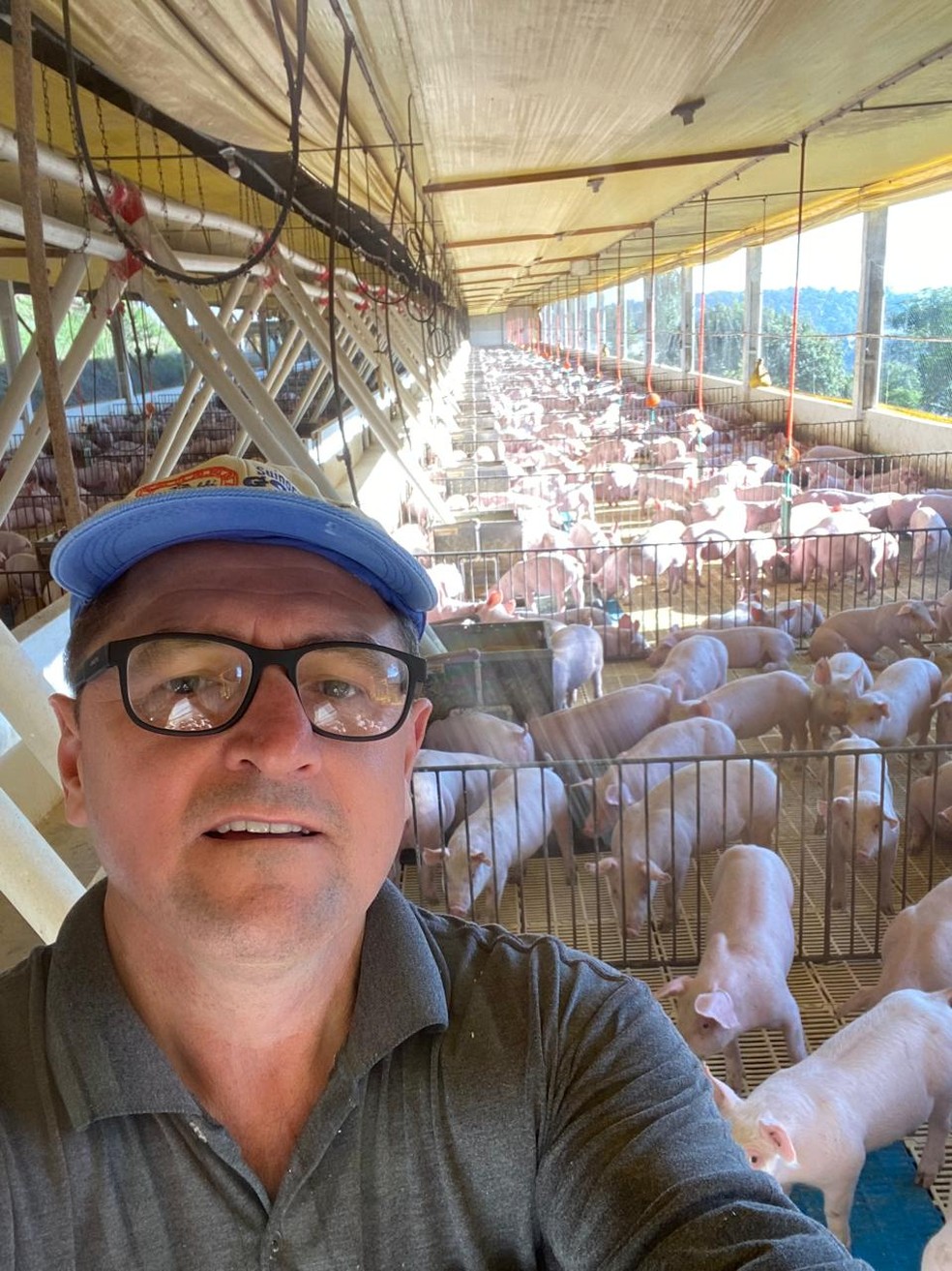 Mauro Gobbi comercializa cerca de 7.500 suínos por semana em Rondinha (RS) — Foto: Arquivo pessoal
