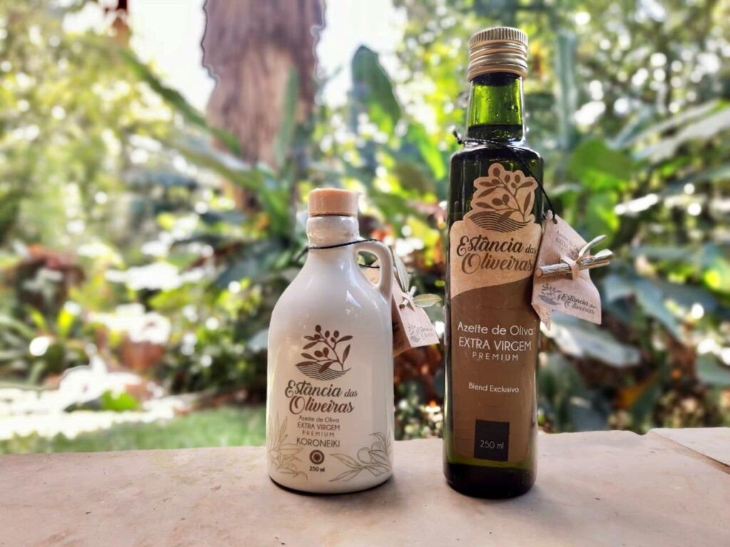 Brasil conquista cinco ouros em concurso com mais de 800 azeites