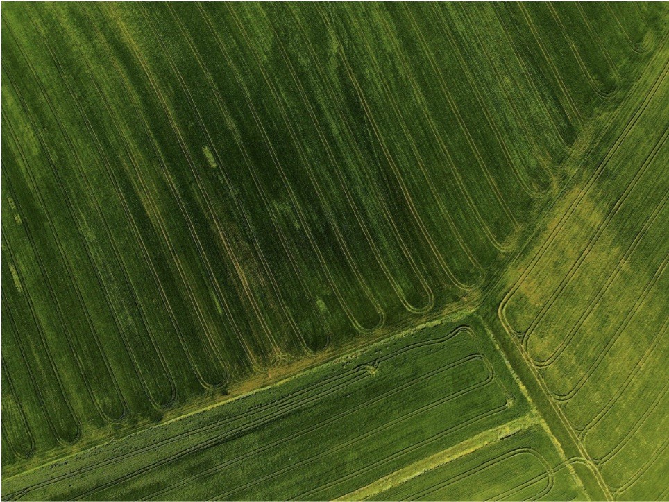 Mosaic, gigante do agronegócio, aposta em IA para enfrentar volatilidade e reduzir custos logísticos