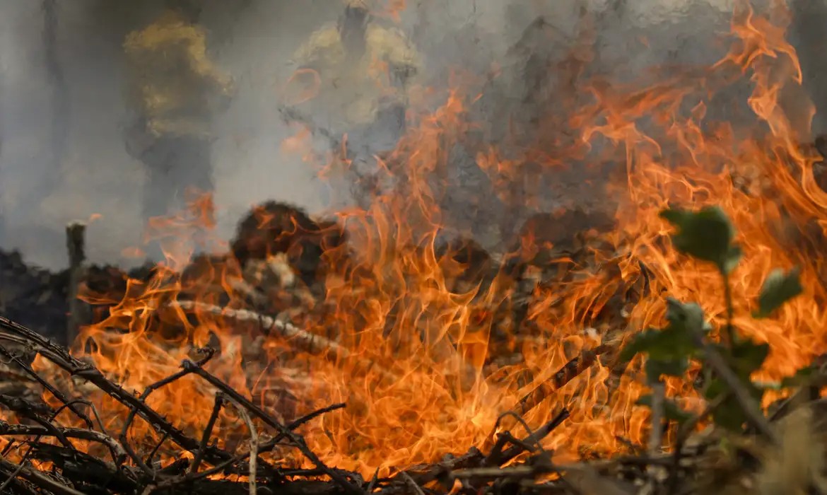 Mais de 80% dos focos de calor em SP estão em áreas de agropecuária