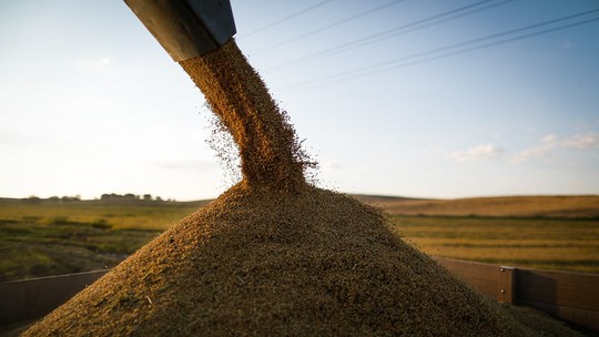 Governo prepara MP para autorizar importação de arroz