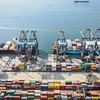 Seis segmentos foram responsáveis por 84,14% das exportações do agronegócio no mês de outubro - Divulgação