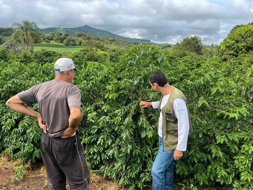 Técnicos avaliando lavoura em Três Corações (MG)