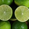 Limão tem variedades verdadeiras e “falsas” - Canva / Creative Commoms