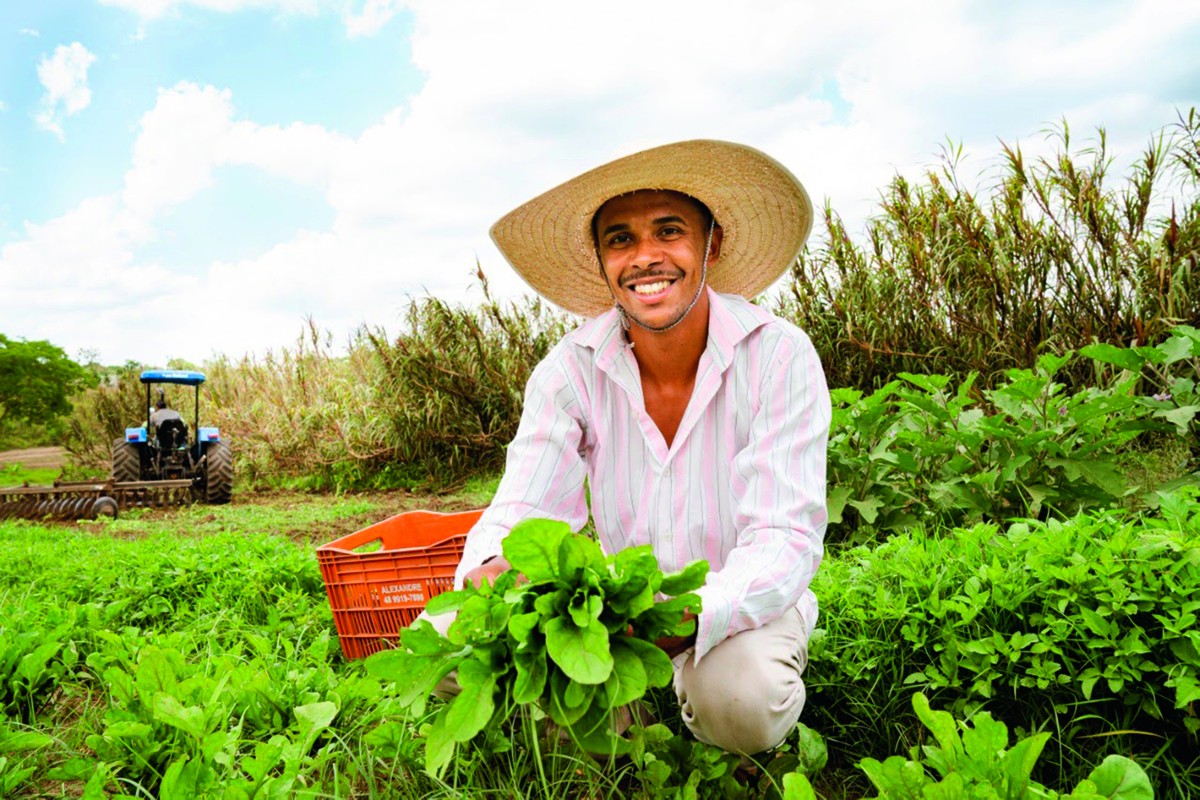 Seguridad alimentaria. Productores y agricultores, el corazón del mundo.