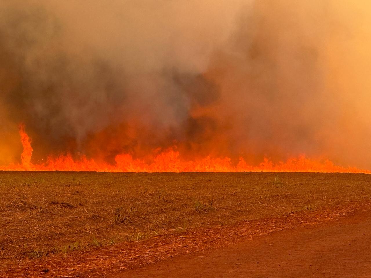 Marina compara incêndios em São Paulo a 'Dia do Fogo' e pede investigação à PF