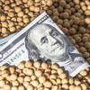 Novo pacote de ajuda aos agricultores dos EUA pode chegar a US$ 14 bilhões - Getty Images