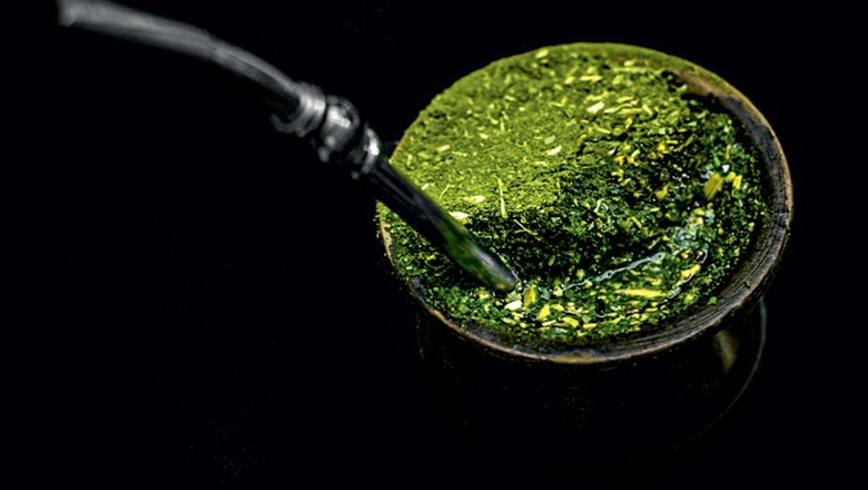 Chimarrão com cannabis medicinal: saiba como é preparada a bebida