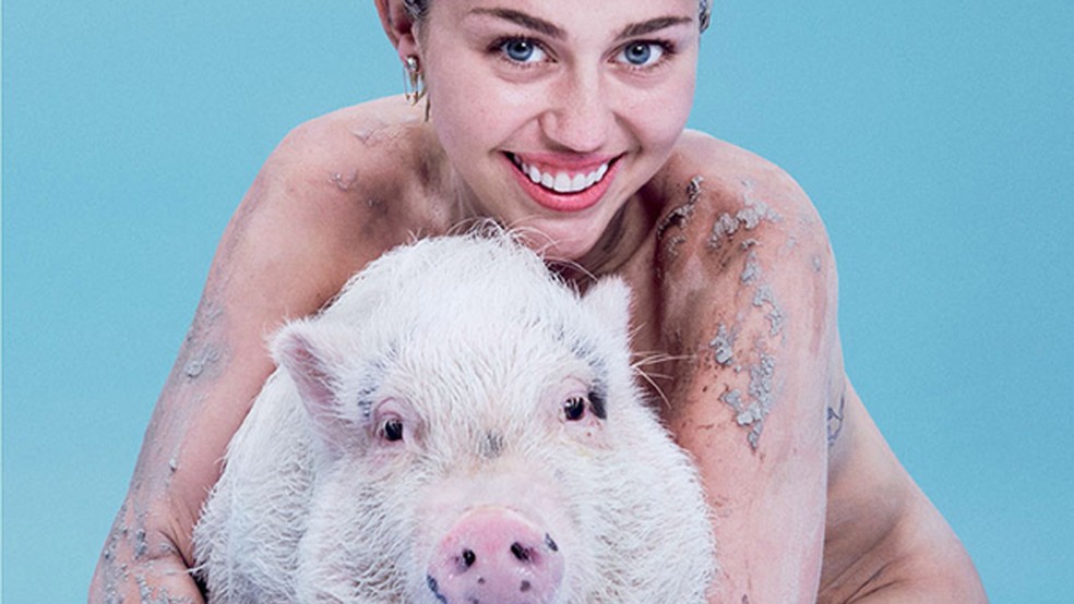 Miley Cyrus e porca Bubba Sue — Foto: Divulgação