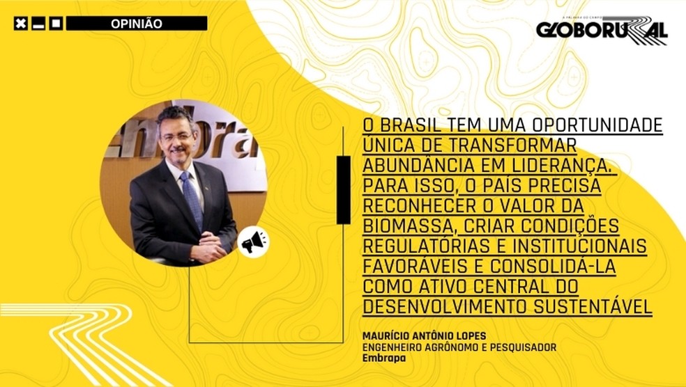  — Foto: Globo Rural
