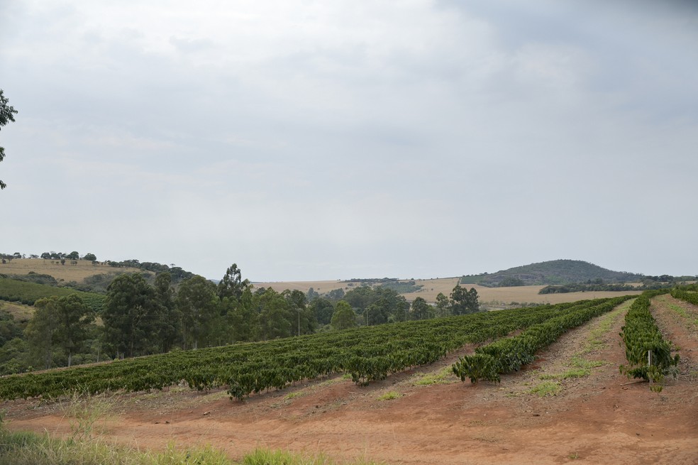 Fazenda Lagoinha, terceiro lugar entre as médias propriedades no 8º Prêmio Fazenda Sustentável — Foto: Washington Alves Ribeiro