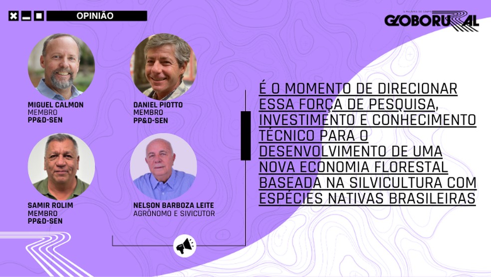  — Foto: Globo Rural