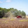 Dados do terceiro trimestre de 2025 apontam que 443 empresas do agronegócio pediram recuperação judicial, alta de 67,8% em relação ao mesmo período do ano passado - Wenderson Araújo/CNA