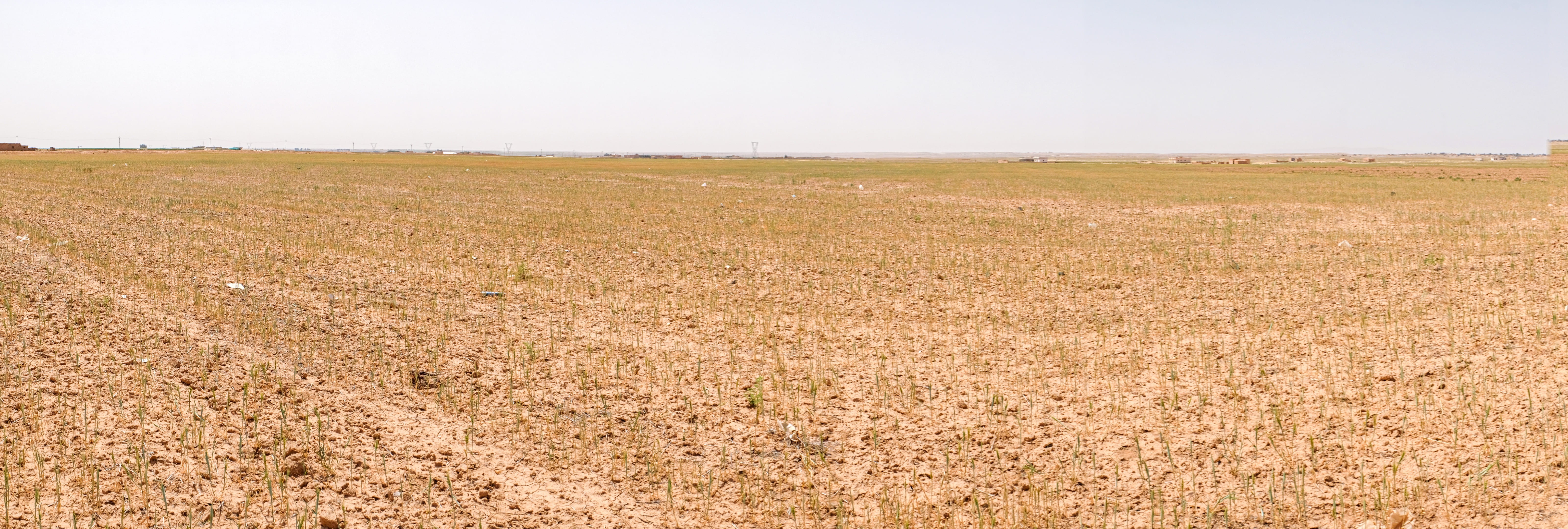 Estudo da FAO revela degradação alarmante de terras agrícolas na região árabe