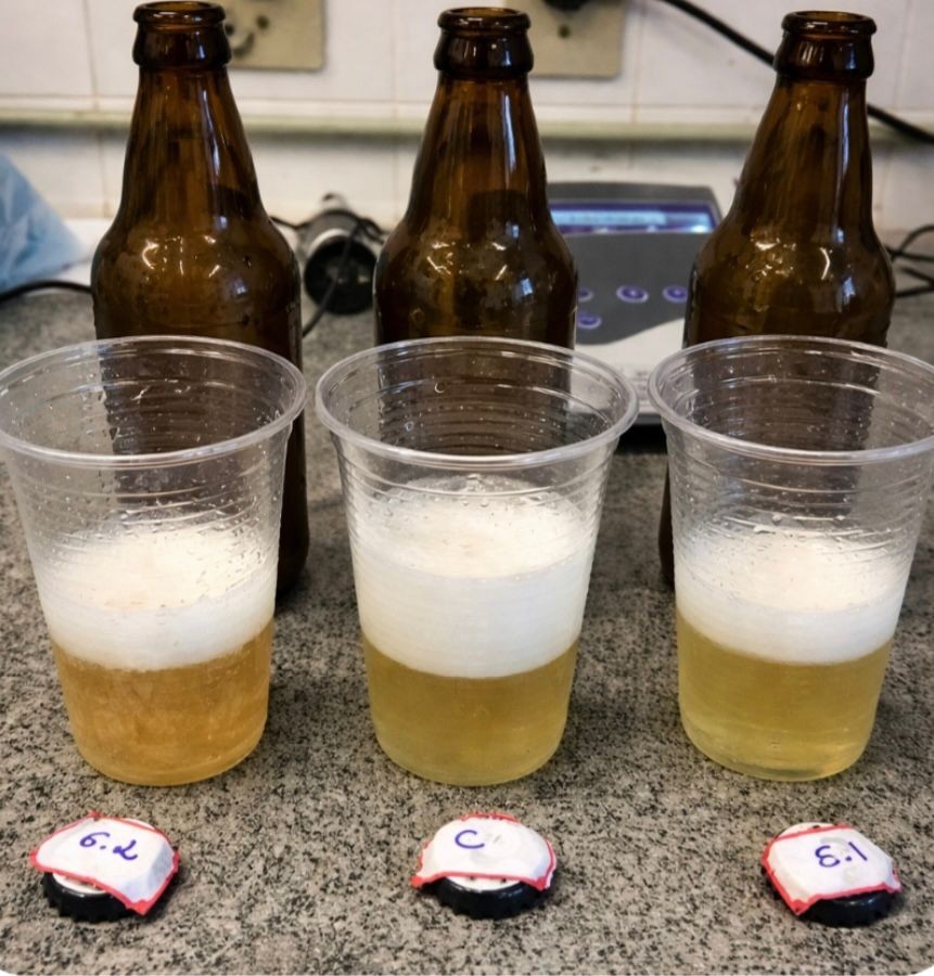 Bebida alcoólica com soro de leite e polpa de caju é criada na Paraíba