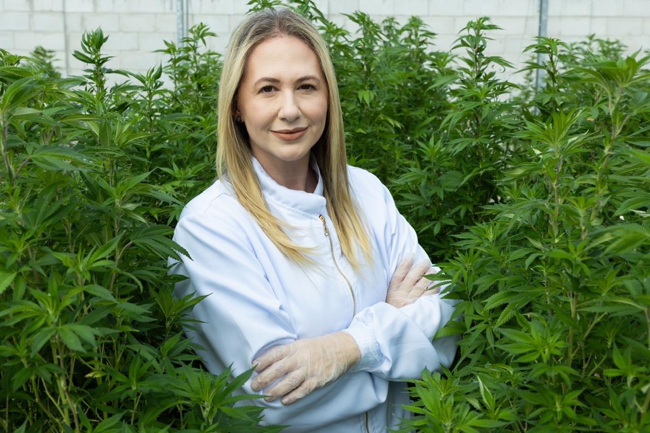 Pesquisadora que abriu caminho à cannabis medicinal vê espaço para país elevar o teor de THC