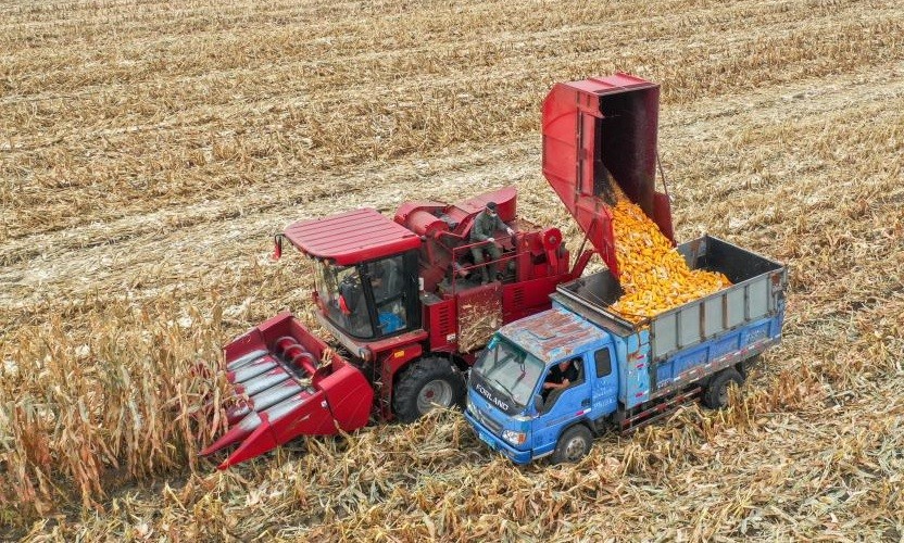 Onda de calor ameaça lavouras de milho, arroz e algodão na China, diz agência - QTU Questões do Universo