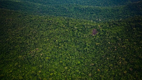 ‘Comércio justo’ é estratégia para engajar produtores na Amazônia