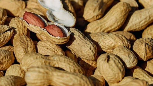 Duas empresas de amendoim de SP são habilitadas a exportar 