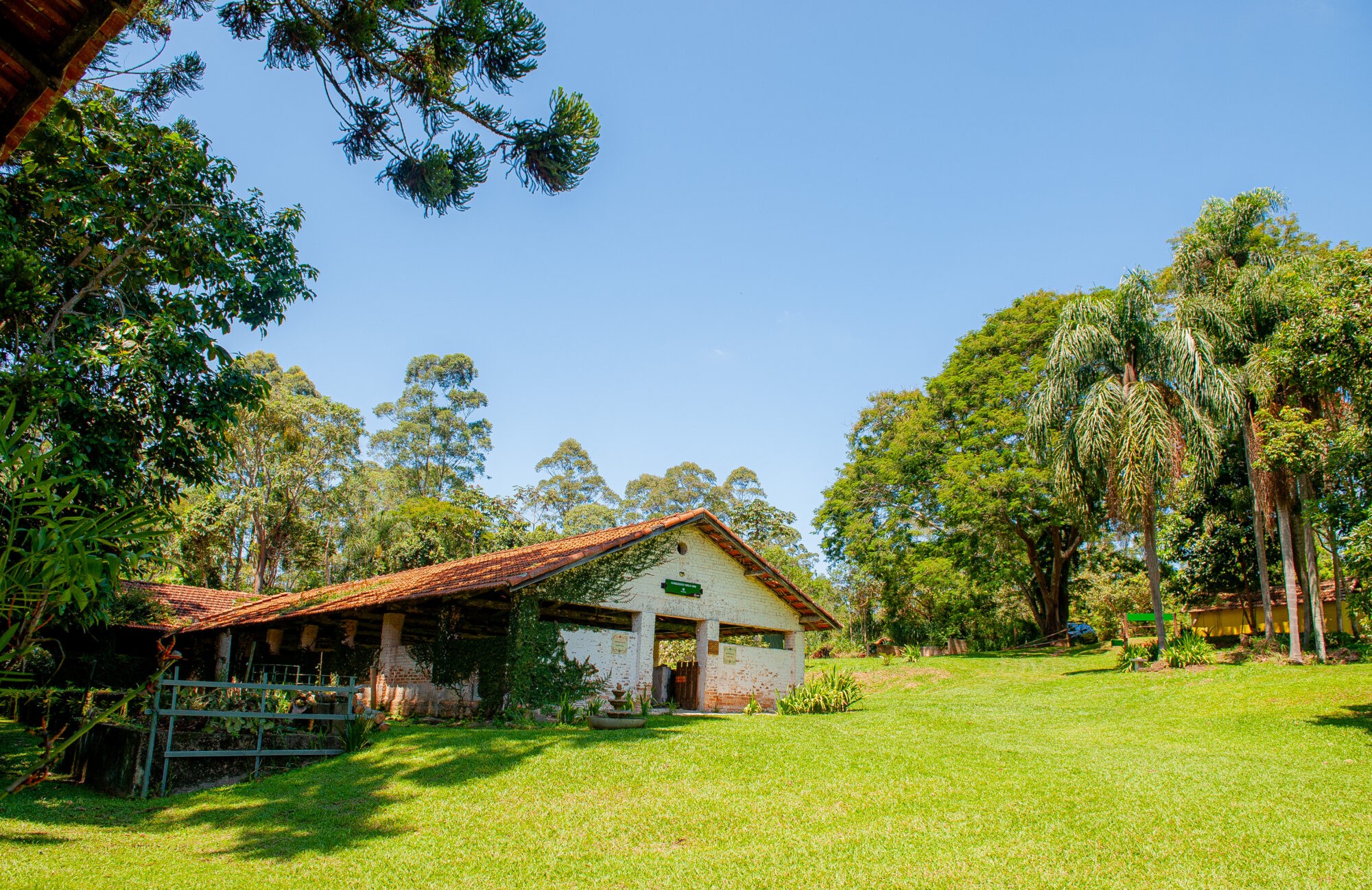 Oportunidade para projetos rurais na capital paulista: programa está com inscrições abertas