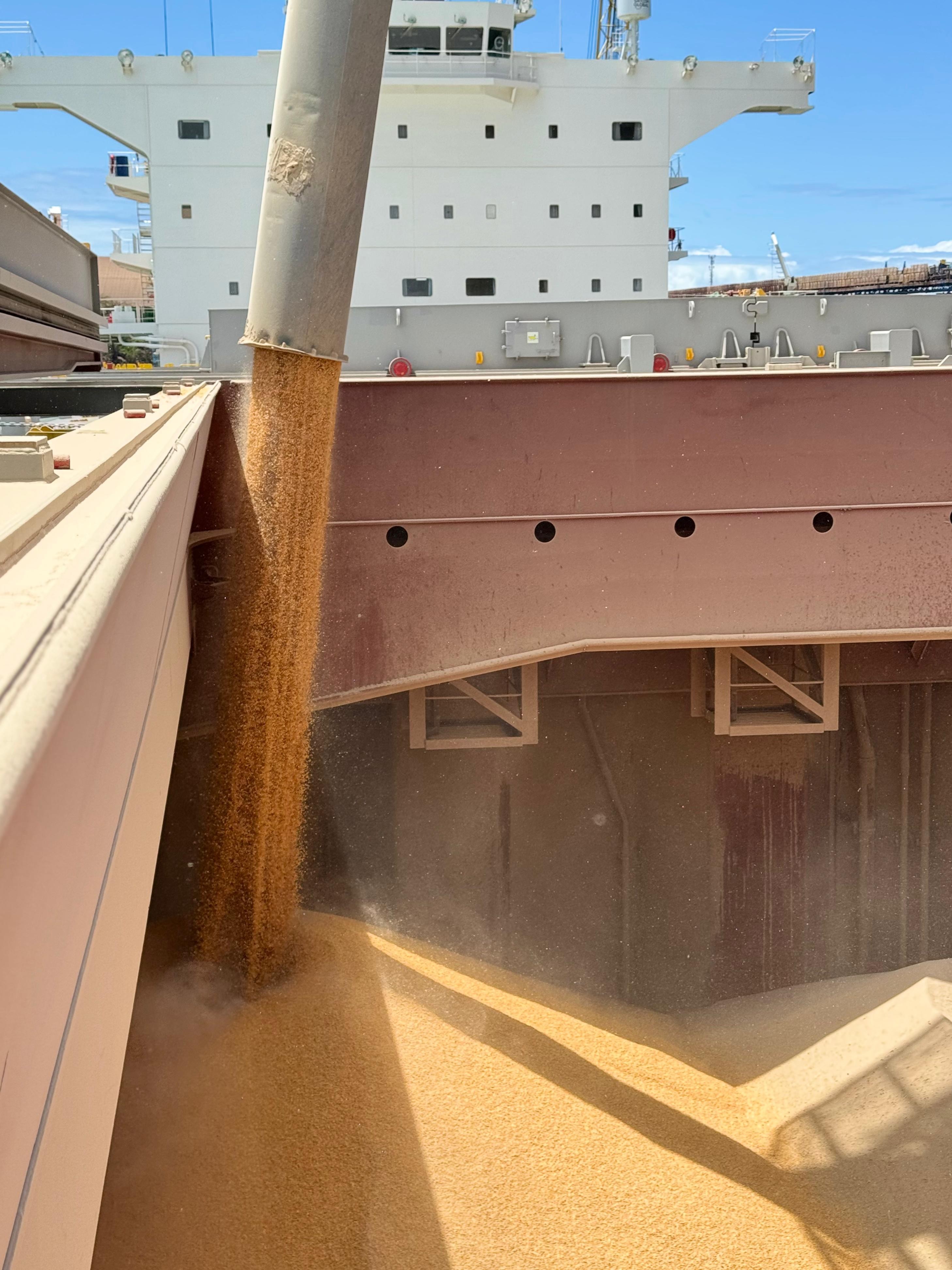 Guerra pode limitar ritmo das exportações de milho do Brasil