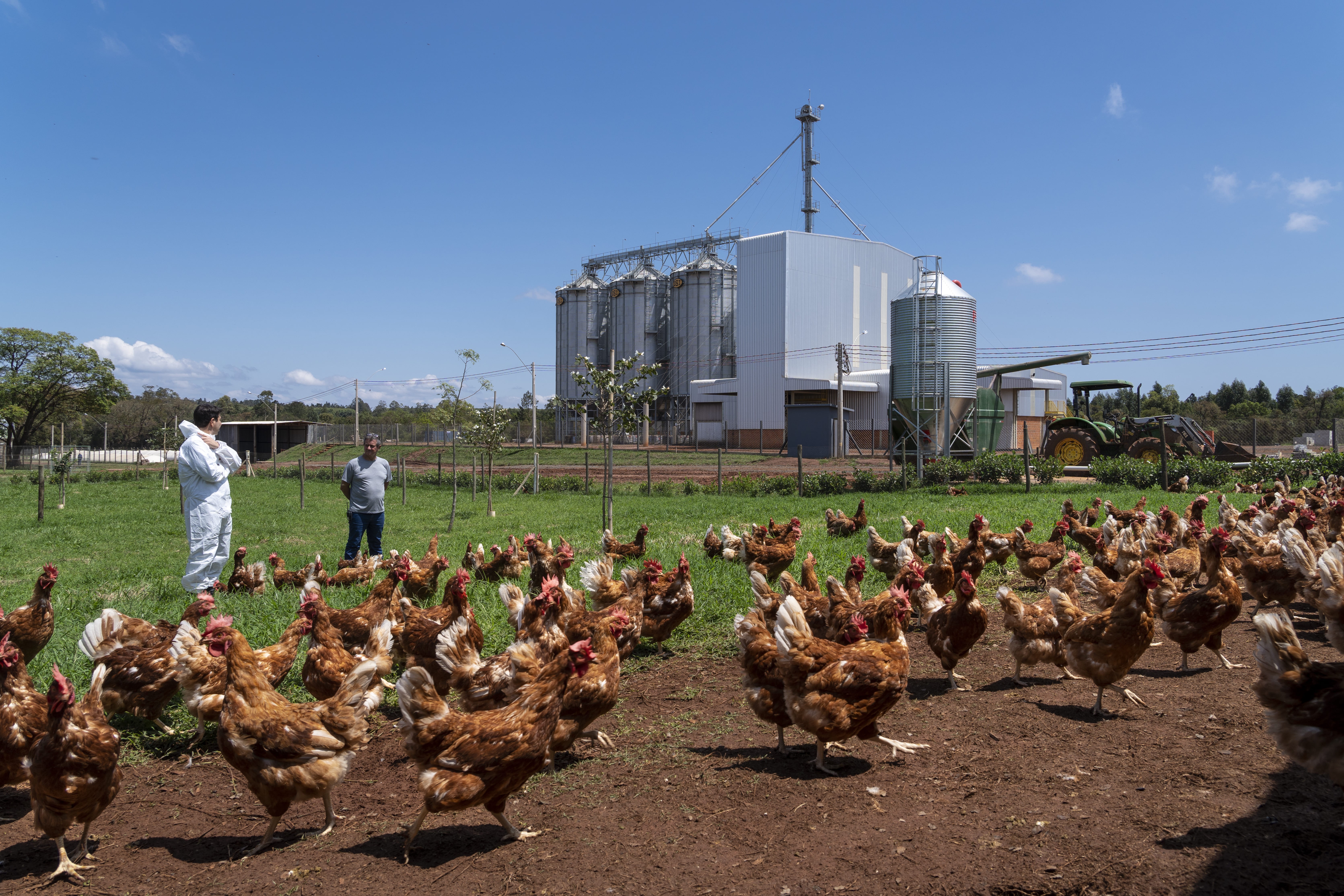 IFC, braço do Banco Mundial, investe na Raiar e estreia no segmento de ovos 