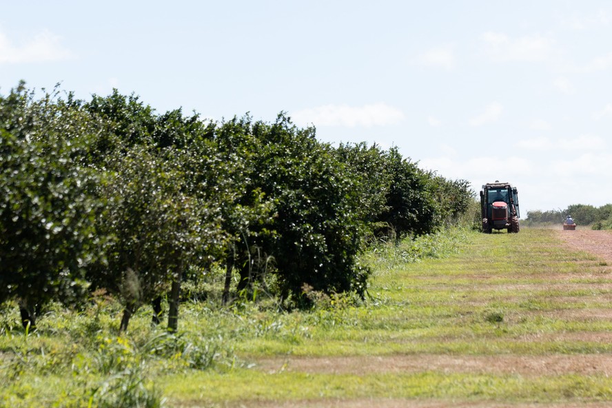 Nutrilite Melhor Para Trabalhar No Agroneg cio Entre As M dias Empresas