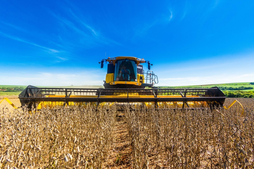 Preço da soja caiu no Brasil e também no mercado externo