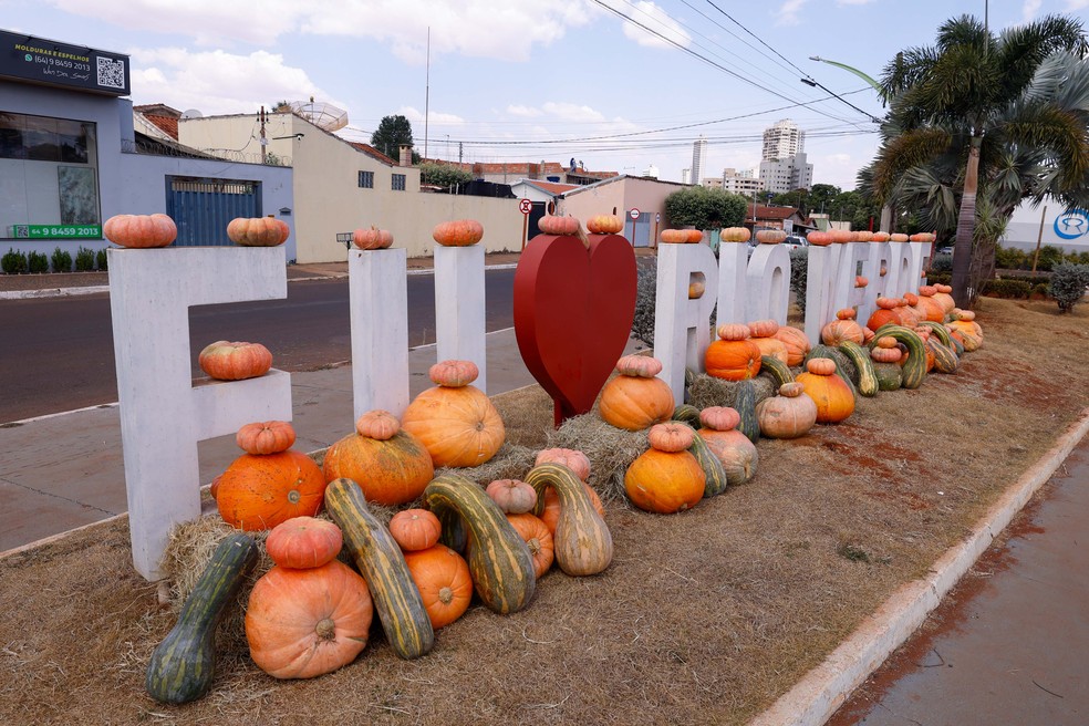 A prefeitura de Rio Verde mantém uma área de seis hectares para o cultivo das abóboras exclusivamente para decorar a cidade — Foto: Cristiano Borges
