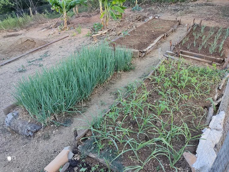 Governo de MG destinará R$ 1,5 milhão do PAA para agricultura indígena