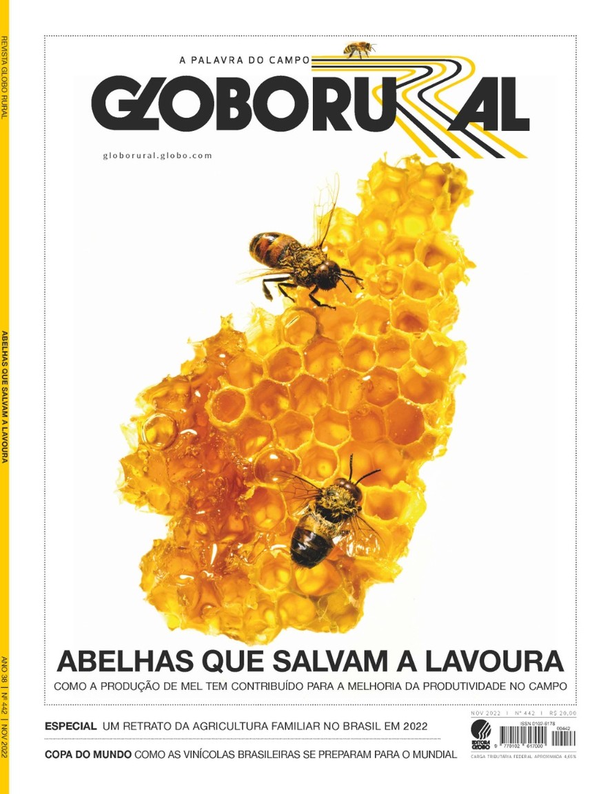 Globo Rural de outubro destaca a revolução da inseminação artificial em  tempo fixo - Revista Globo Rural