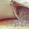 Apesar do tarifaço, os Estados Unidos permanecem como o principal importador de café do Brasil  - David Joyce/CCommons