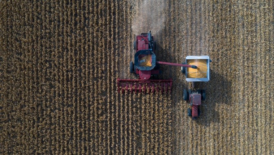 Nos Estados Unidos, colheita de milho chegou a 9% da área esperada para o ciclo 2023/24